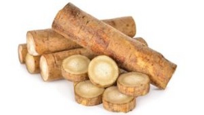 Burdock Root herb