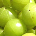 Amla