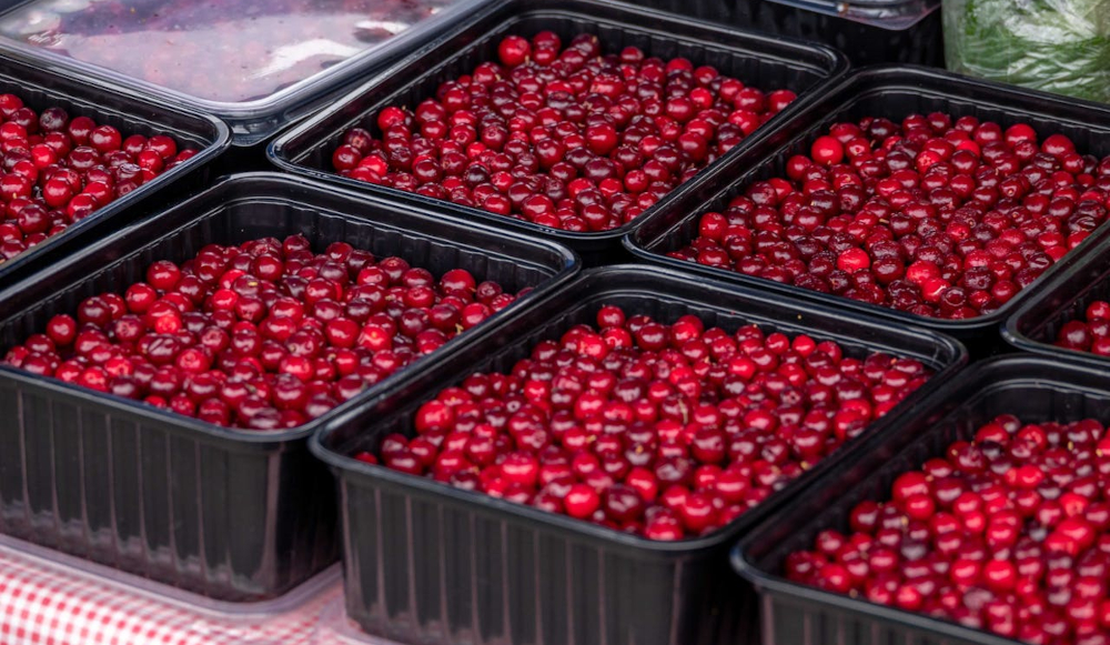 cranberries in market bin