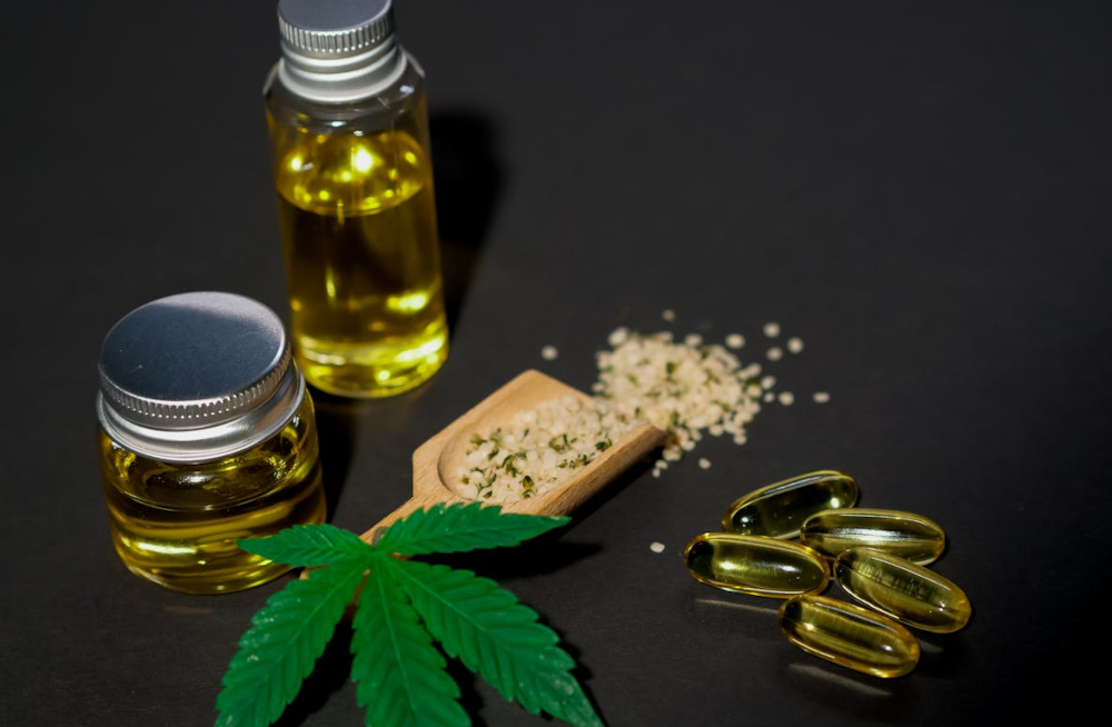 Hemp plant, seeds, and oil