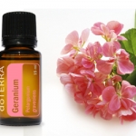 rose essential oil