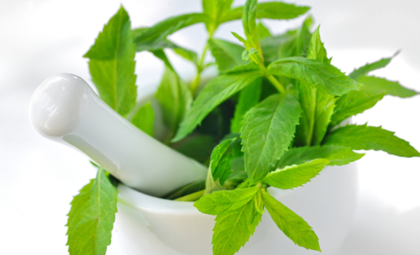 The Benefits of Peppermint_peppermint leaves in mortar with pestle