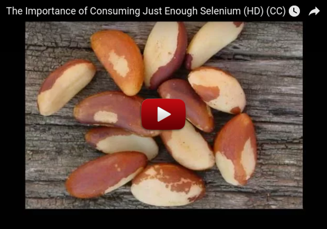 The Importance of Consuming Just Enough Selenium (HD) (CC)