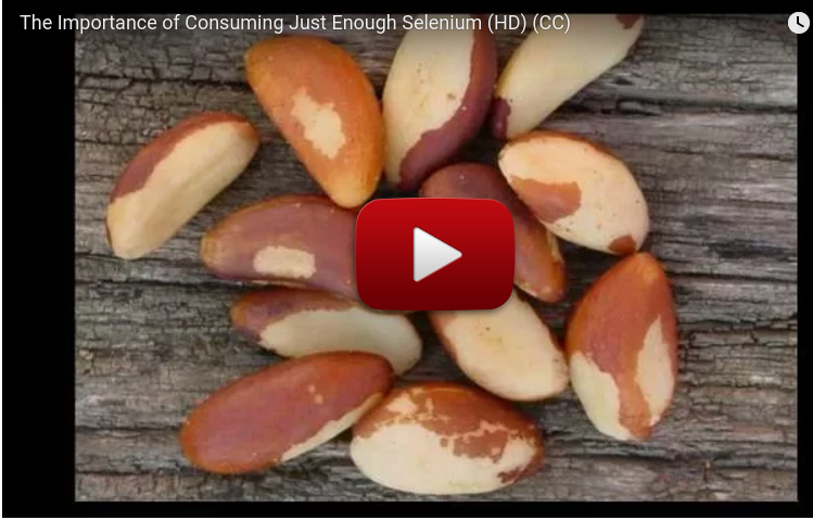 The Importance of Consuming Just Enough Selenium (video)