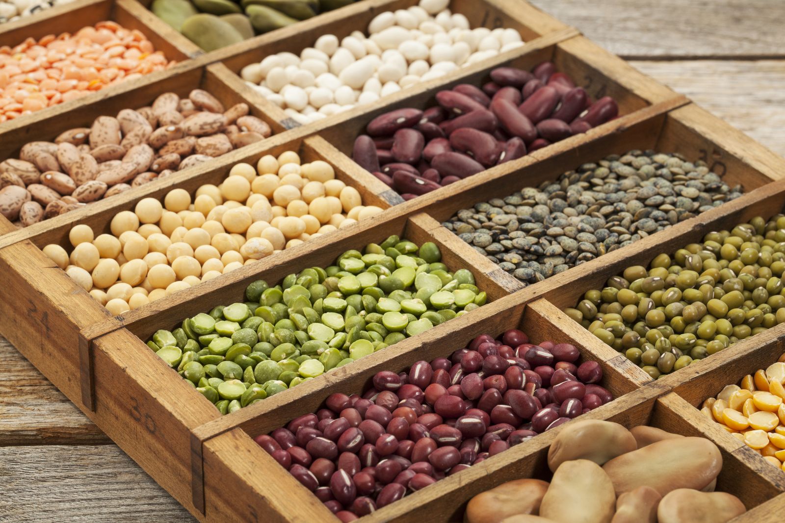 brain-benefits-of-vitamin-b6_beans-legumes-seeds