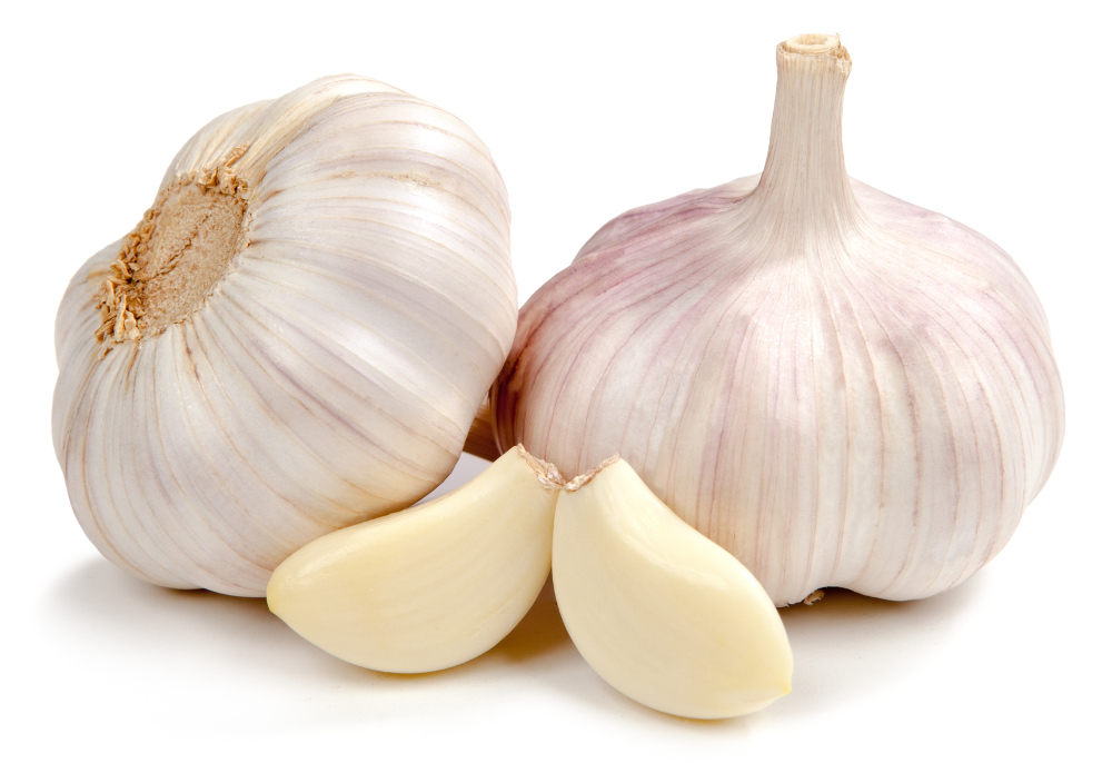 The History of Garlic, for Health and Healing