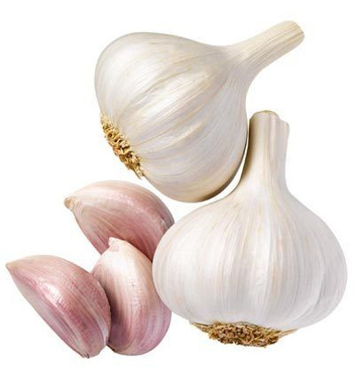 The History of Garlic, for Health and Healing_garlic bulbs and cloves