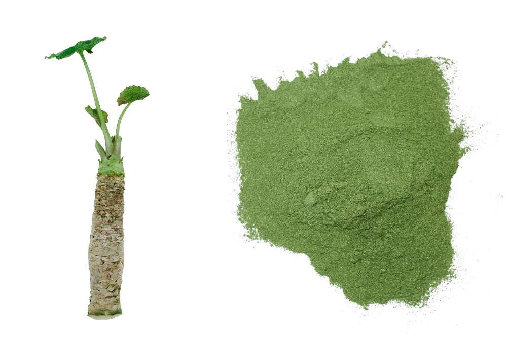 /home/acraig/Desktop/The Incredible Antioxidant Properties of Wasabi_Wasabi powder and root