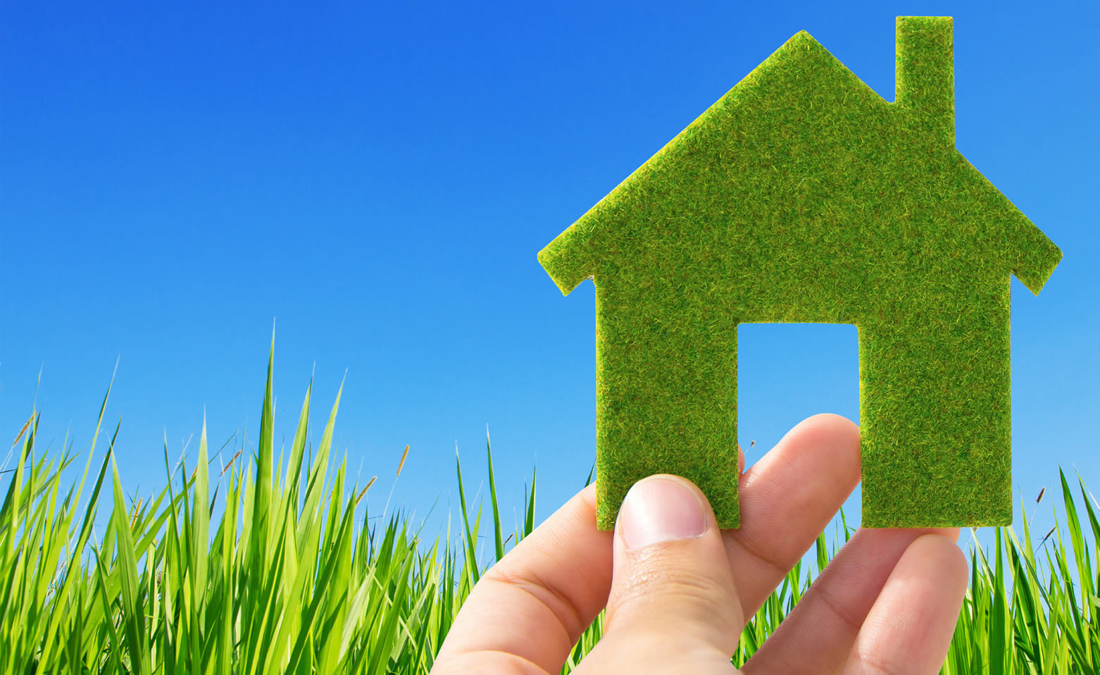 Living Green: Committing to a Healthy and Restful Home Environment_Green-Living