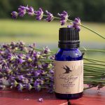 Top 10 Dry Skin Oils_lavender essential oil