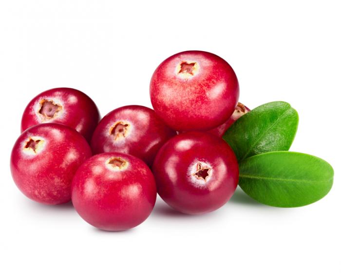 Cranberries - Benefits for Mind and Body_cranberries
