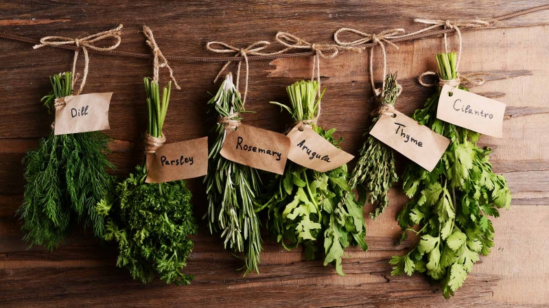 Herbs 101 - How to Choose and Use Them Safely_green herbs