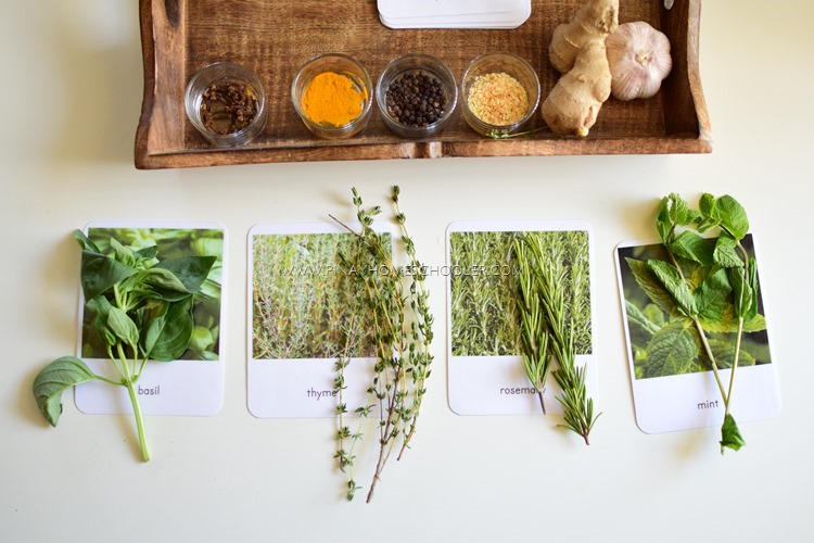 Herbs 101: How to Select and Use Herbs Safely_herbs