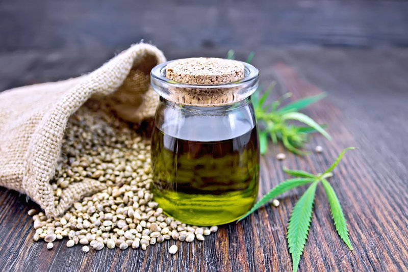 Everything You Need to Know About Hemp Seed Oil_hempseed oil and plant