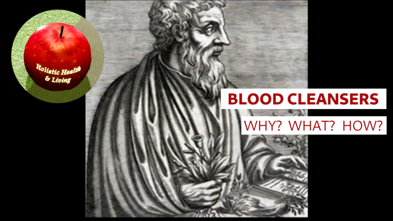 Blood Cleansers - Why? What? How? (video)